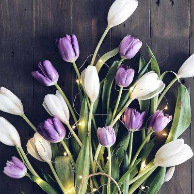 特技车手蜘蛛侠